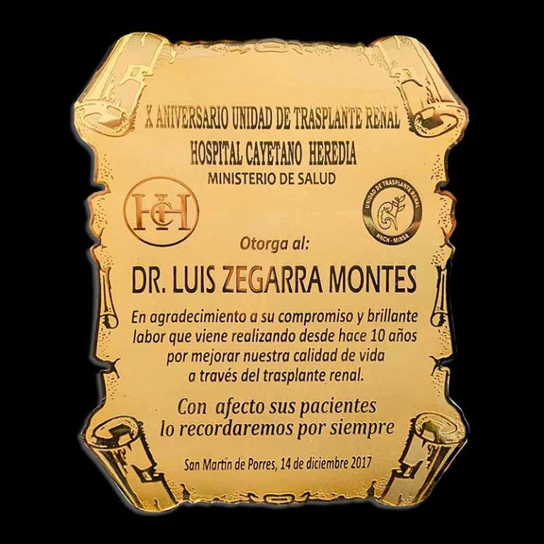 Reconocimiento de los pacientes trasplantados de riñón (Hospital Cayetano Heredia)